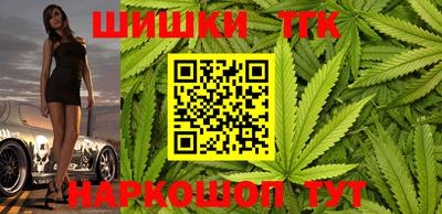 тгк Новодвинск
