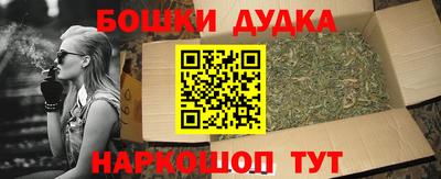 тгк Новодвинск