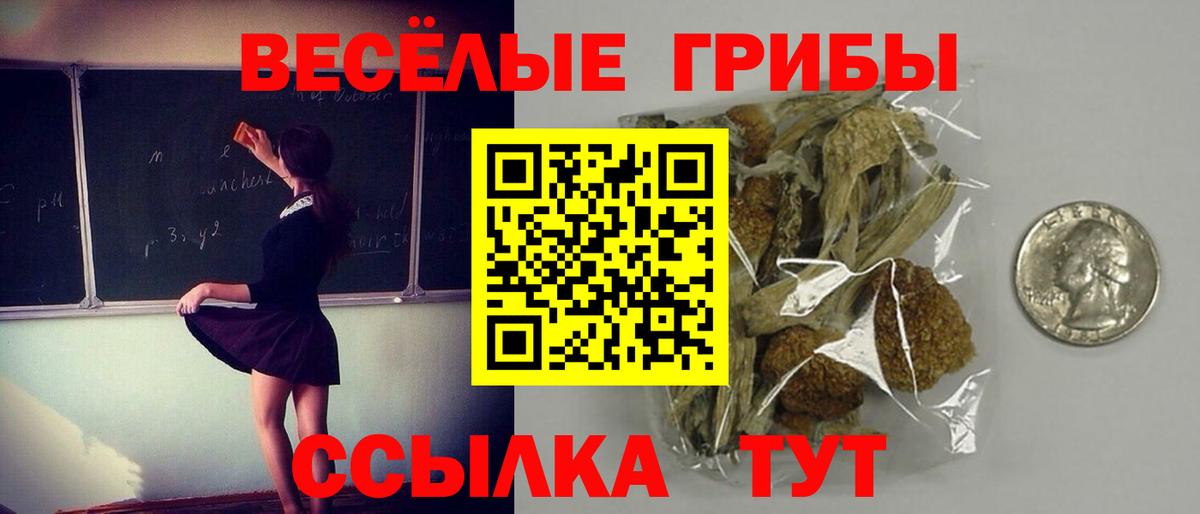 Сухой Лог  Галлюциногенные грибы мицелий  где продают   Вход с VPN 